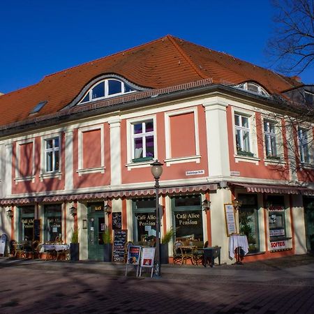 פוטסדאם Cafe Alice & Pension Gmbh מראה חיצוני תמונה